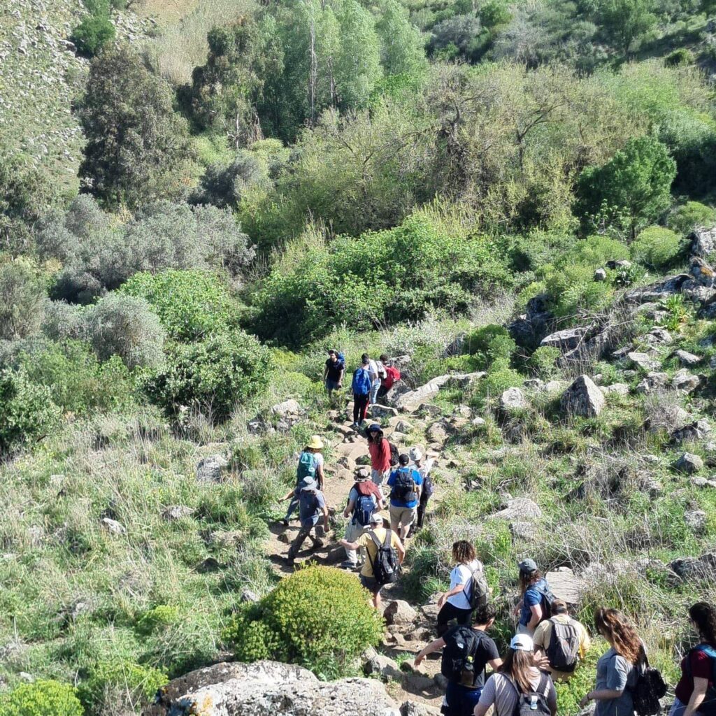 מטיילים בשביל הררי ירוק מלא צמחייה ועצים, קבוצת אנשים עם תיקי גב והרים ברקע.